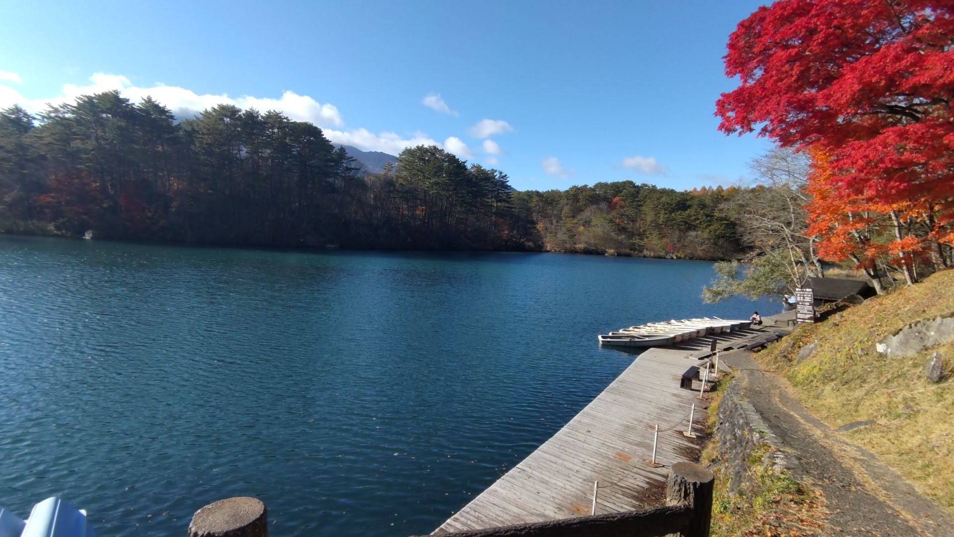 【2023年秋の紅葉はここで決まり】人生で一番綺麗な紅葉、福島裏磐梯・五色沼湖沼群