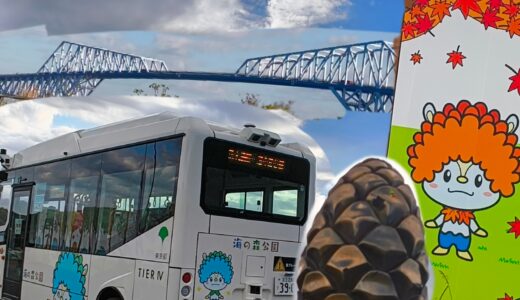 【2025最新】海の森公園に行ってきた