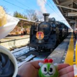 実家に帰るついでに乗ったことのない地元栃木の鉄道とバス路線に乗ってみる。(SL大樹、野岩鉄道)